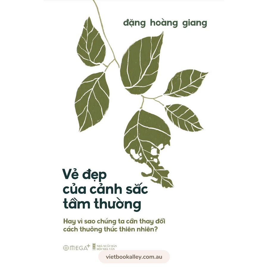 Vẻ Đẹp Của Cảnh Sắc Tầm Thường